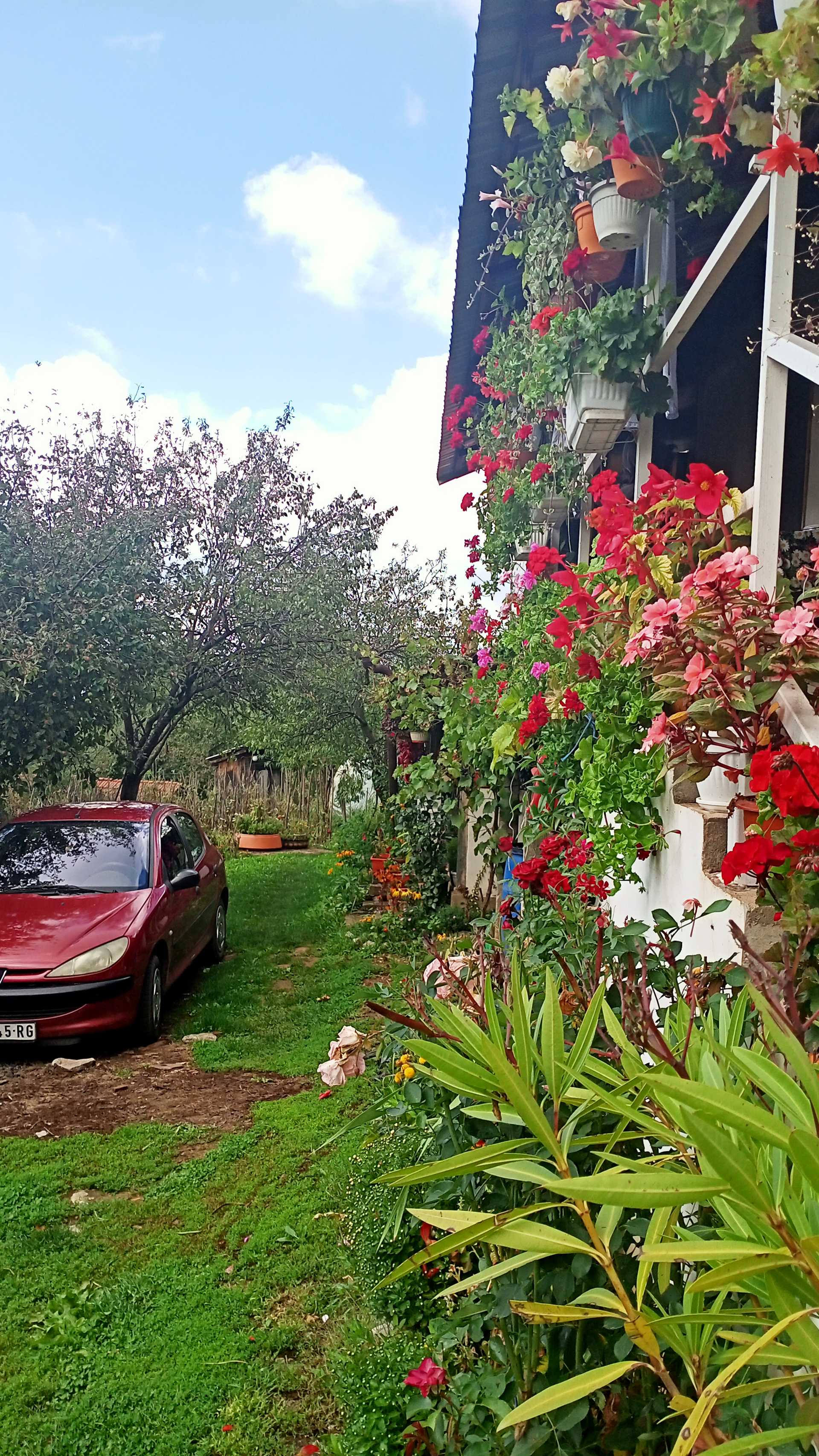 Cvetna terasa u Šebetu - aranžer Dragica Đorđević - Featured image