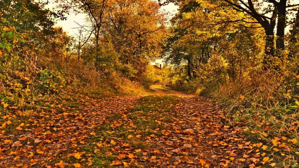 Jesen okolo Šebeta - Featured image