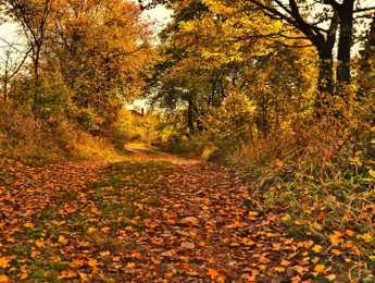 Jesen okolo Šebeta - Featured image